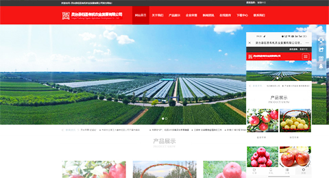 企業(yè)網(wǎng)站、程序軟件App解決方案